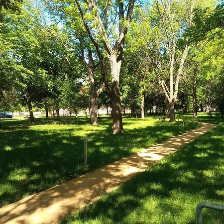 Oazis Wellness Apartman2