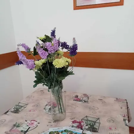 Oázis Wellness *